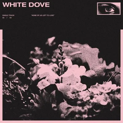 Koda White Dove