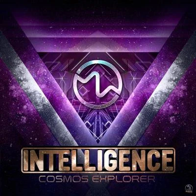 Intelligence Cosmos Explorer