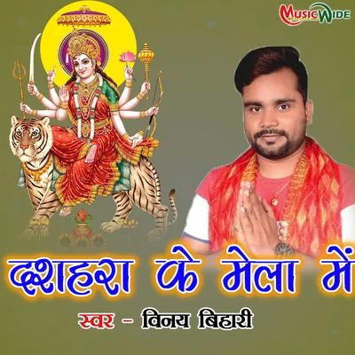 Vinay Bihari Dussehra Ke Mela Me - Single