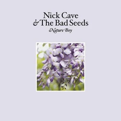 Nick Cave & the Bad Seeds Nature Boy