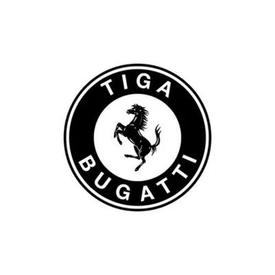 Tiga Bugatti (Big **** P Remix)