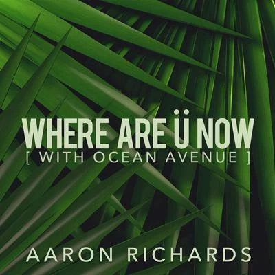 Aaron Richards Where Are Ü Now (feat. Ocean Avenue)