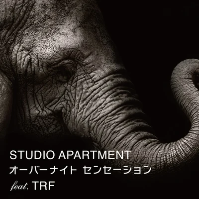 Studio Apartment オーバーナイトセンセーション