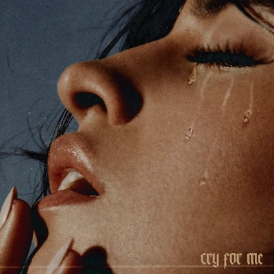 Camila Cabello Cry for Me