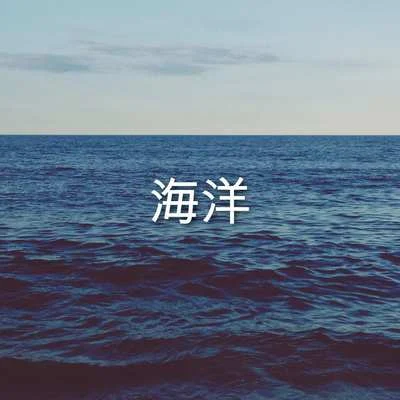 Ocean Waves for Sleep/Ocean Sounds 海洋