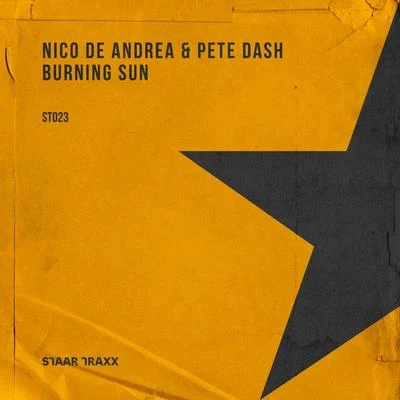 Pete Dash/Nico de Andrea Burning Sun