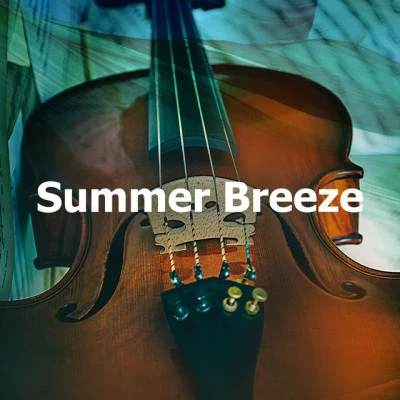 Instrumental Irish Music/Celtic Spirit/Traditional Irish Summer Breeze