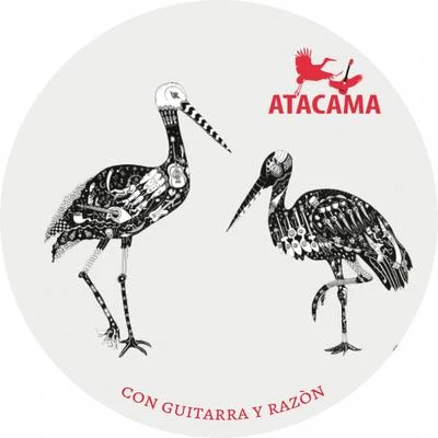 Atacama Con Guitarra y Razón