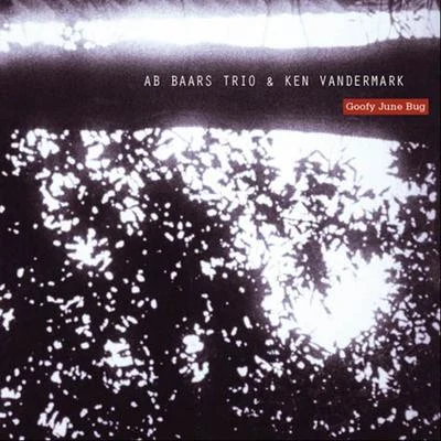 Ken Vandermark/Ab Baars Trio Goofy June Bug (feat. Wilbert de Joode, Ab Baars & Martin van Duynhoven)