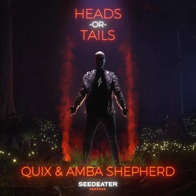 QUIX/Amba Shepherd Heads or Tails