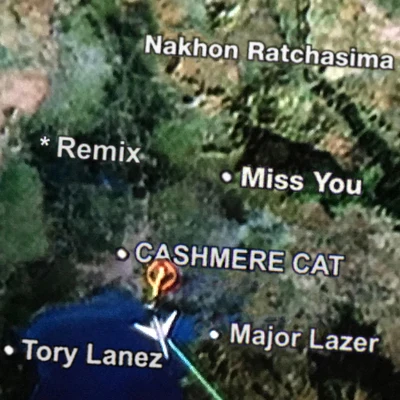 Cashmere Cat Miss You (Remixes)