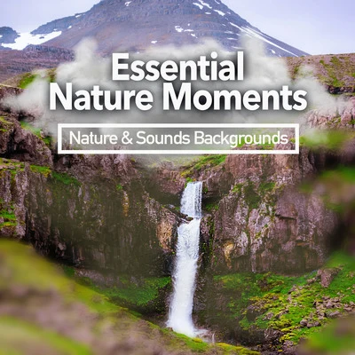 Nature &amp; Sounds Backgrounds Essential Nature Moments