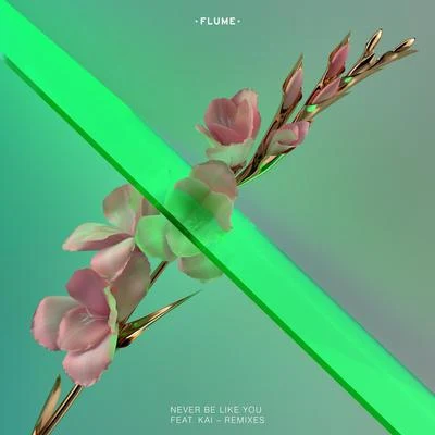 Flume Never Be Like You (Remixes) [ft. Kai]