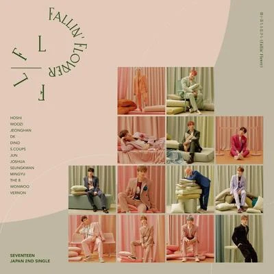 seventeen 舞い落ちる花びら (Fallin Flower)