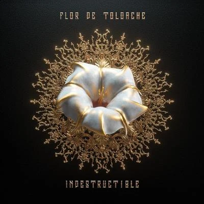 Flor de Toloache Indestructible