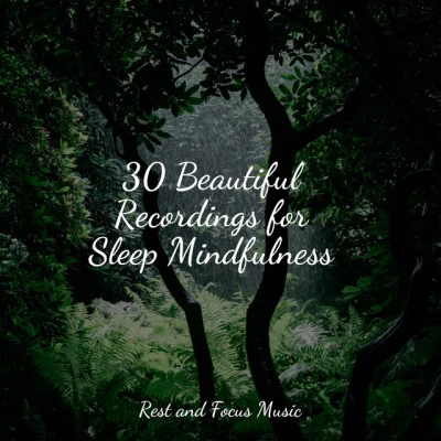 Easy Sleep Music/White Noise Sound Garden/Meditation 30 Beautiful Recordings for Sleep Mindfulness