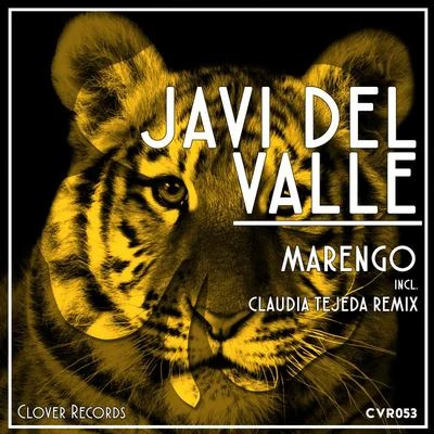 Javi del Valle Marengo