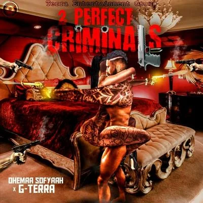 Ohemaa Sofyaah/G-Terra 2 Perfect Criminals