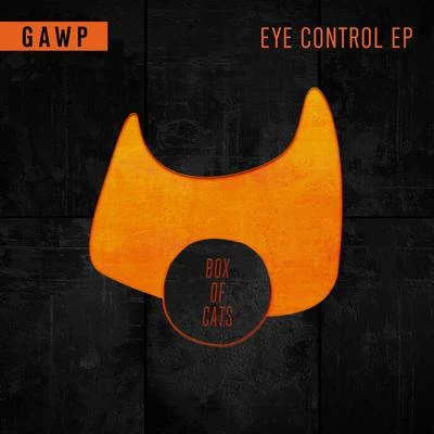 GAWP Eye Control