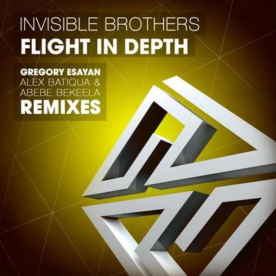 Invisible Brothers Flight in Depth