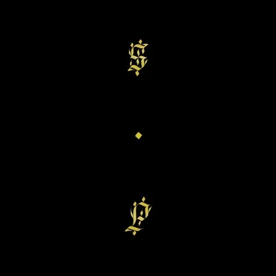 Shabazz Palaces Black Up