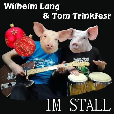 Wilhelm Lang Im Stall (Weihnachtssong 2017)