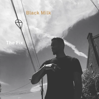 Black Milk The Fix