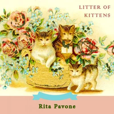 Rita Pavone Litter Of Kittens