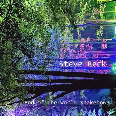 Steve Beck End Of The World Shakedown