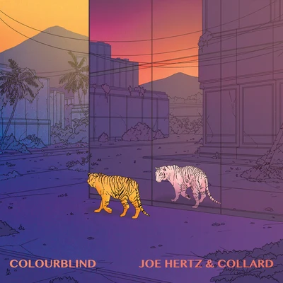 Collard/Joe Hertz Colourblind