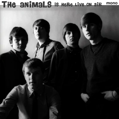 The Animals Is Here Live On Air