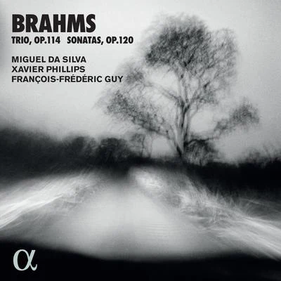 Xavier Phillips/Miguel da Silva/François-Frédéric Guy Brahms: Trio, Op. 114 & Sonatas, Op. 120