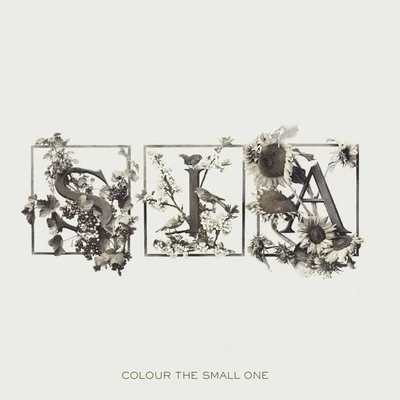 Sia Colour The Small One