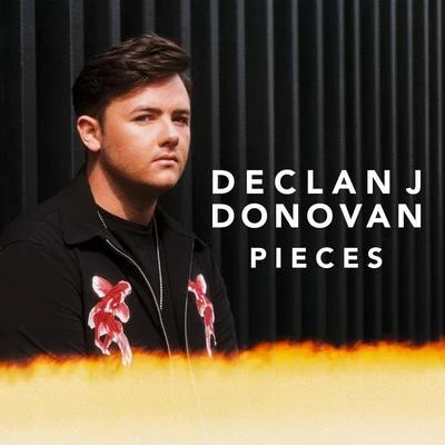 Declan J Donovan Pieces