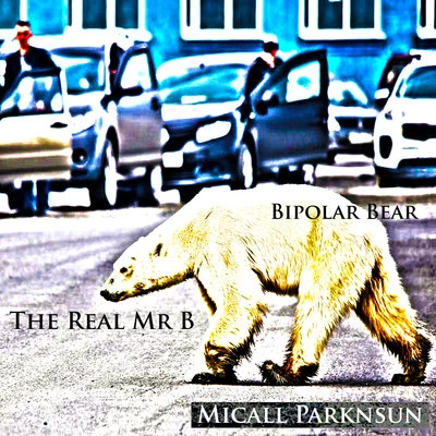 Micall Parknsun/The Real Mr B Bipolar Bear