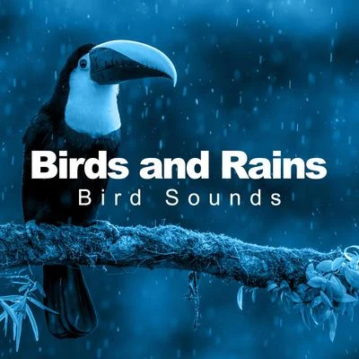 Bird Sounds Birds and Rains