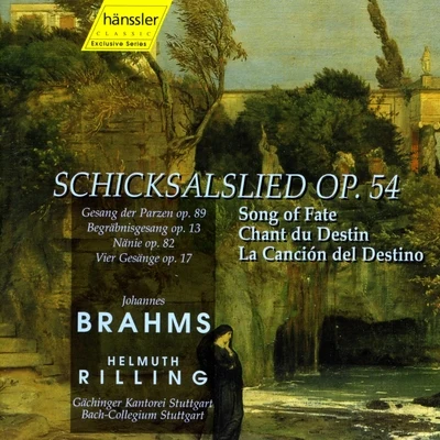 Bach-Collegium Stuttgart/Gächinger Kantorei/Helmuth Rilling Brahms: Choral Works