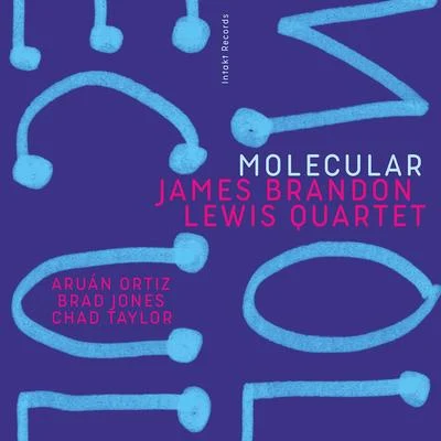 James Brandon Lewis/Brad Jones/Chad Taylor/Aruán Ortiz/James Brandon Lewis Quartet Molecular