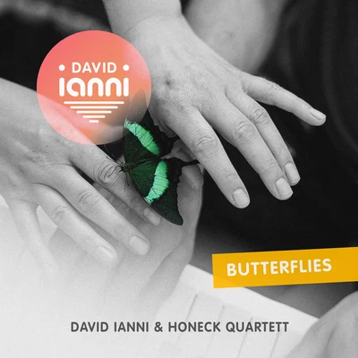 David Ianni Butterflies