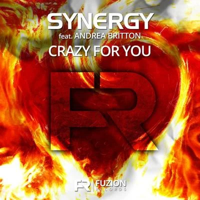 SYNERGY Crazy For You