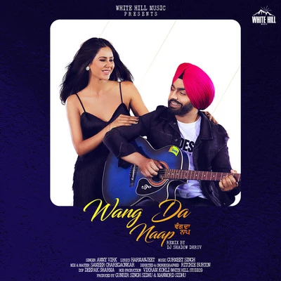 Ammy Virk Wang Dana AP (remix version)