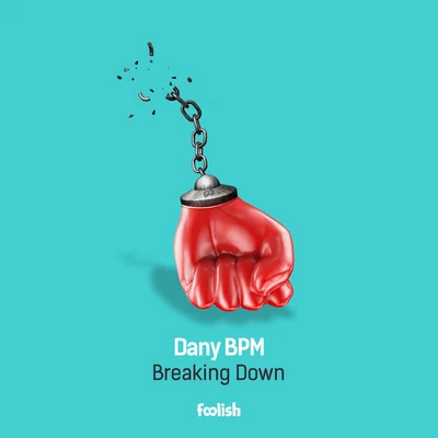 Dany BPM Breaking Down (Radio Edit)