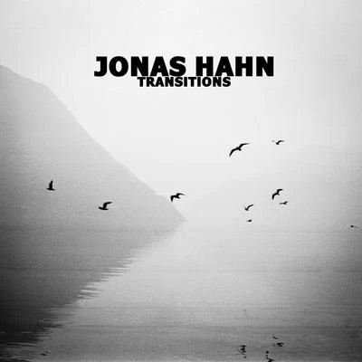 Jonas Hahn Transitions