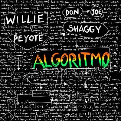 Shaggy/Willie Peyote/Don Joe Algoritmo