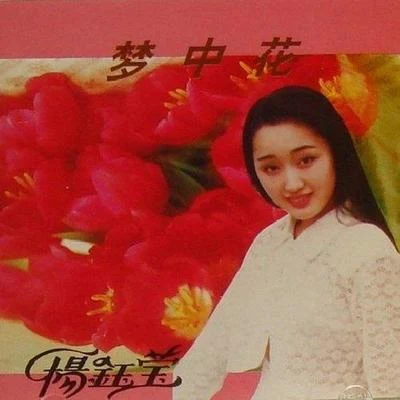 杨钰莹 (Yang Yuying) 梦中花