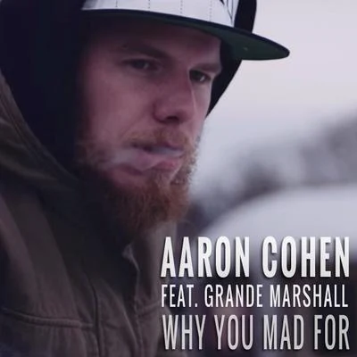 Aaron Cohen Why You Mad For