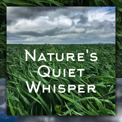 Spa/Meditation/Nature Sounds Relaxation: Music for Sleep/Massage Therapy Nature's Quiet Whisper – Perfectly Relaxing Mother Nature Sounds for Sleep and Rest