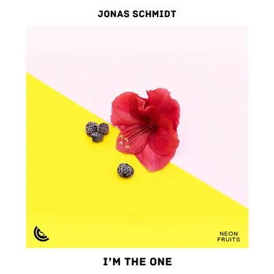 Jonas Schmidt Im the One