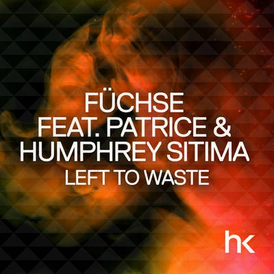 Füchse/Patrice Left To Waste (Remixes)