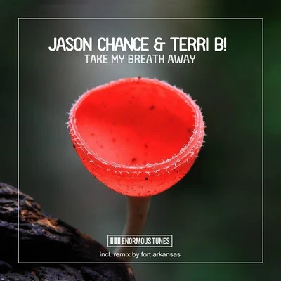 Jason Chance/Terri B! Take My Breath Away